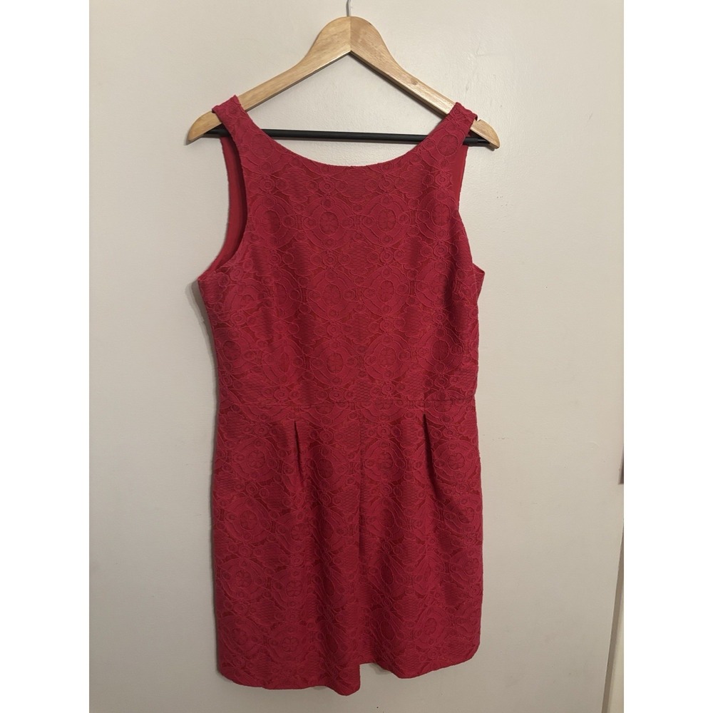 Banana Republic Women's Pink Sleeveless Lace Dress Lined Pleats Size 12